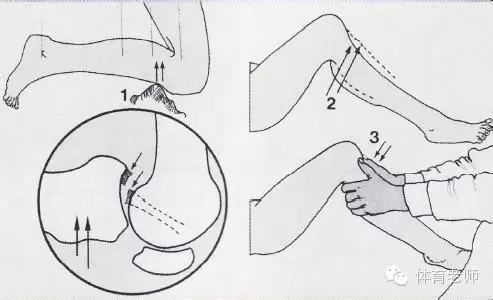 3044永利集团官网