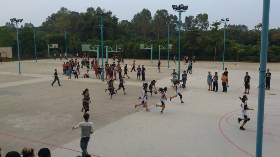 3044永利集团官网