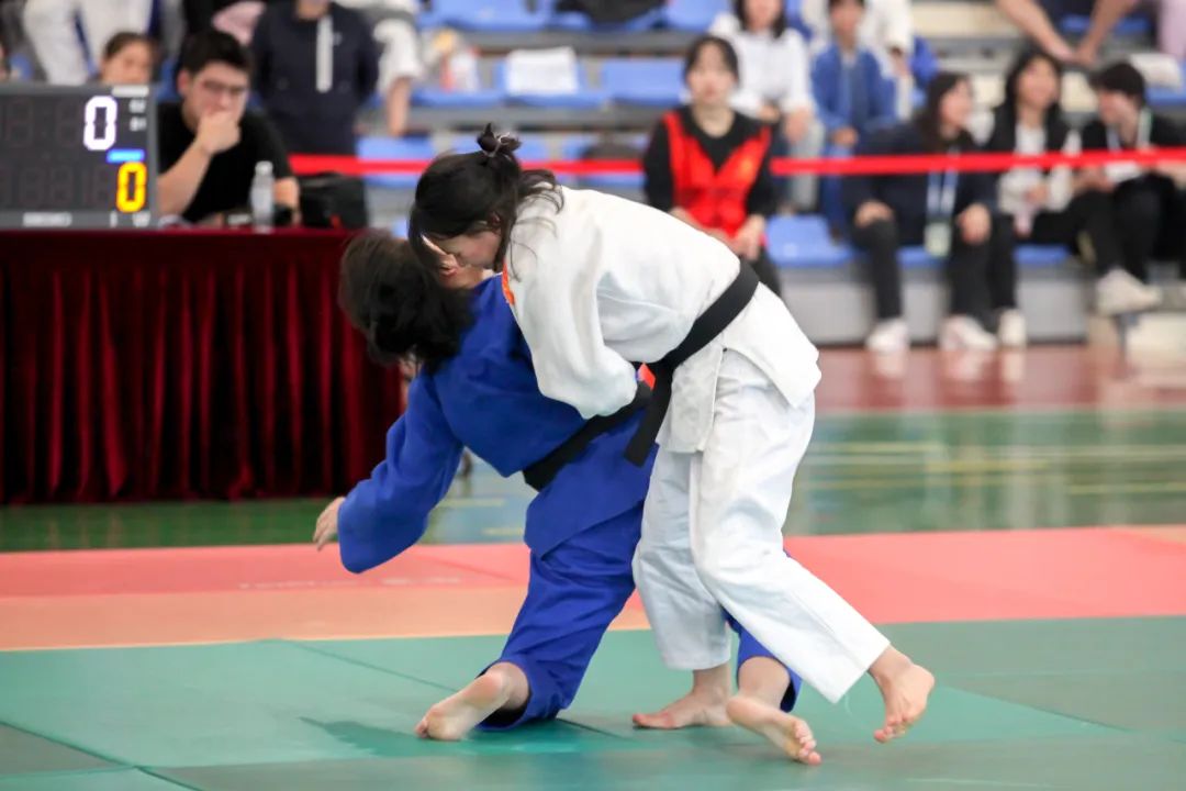 3044永利集团官网