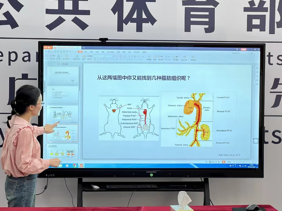 3044永利集团官网